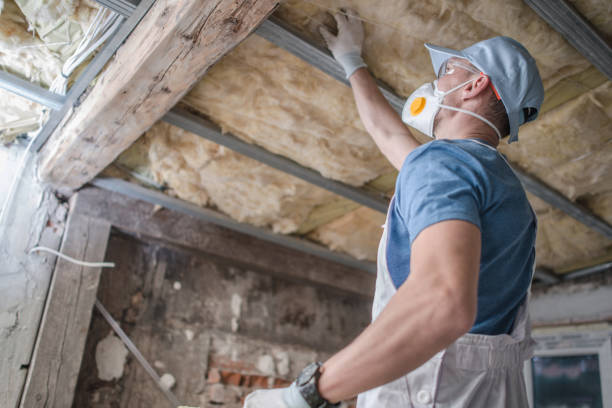 Best Eco-Friendly Insulation in Posen, IL