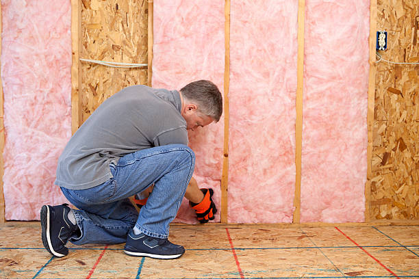 Best Specialized Insulation Services in Posen, IL