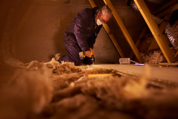 Professional Insulation Contractor in Posen, IL